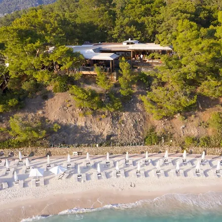 Hotel D Resort Gocek Special Class