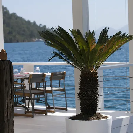 D Resort Gocek Special Class Hotel Gocek (Fethiye)