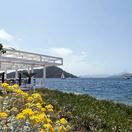 D Resort Gocek Special Class Hotel Gocek (Fethiye)